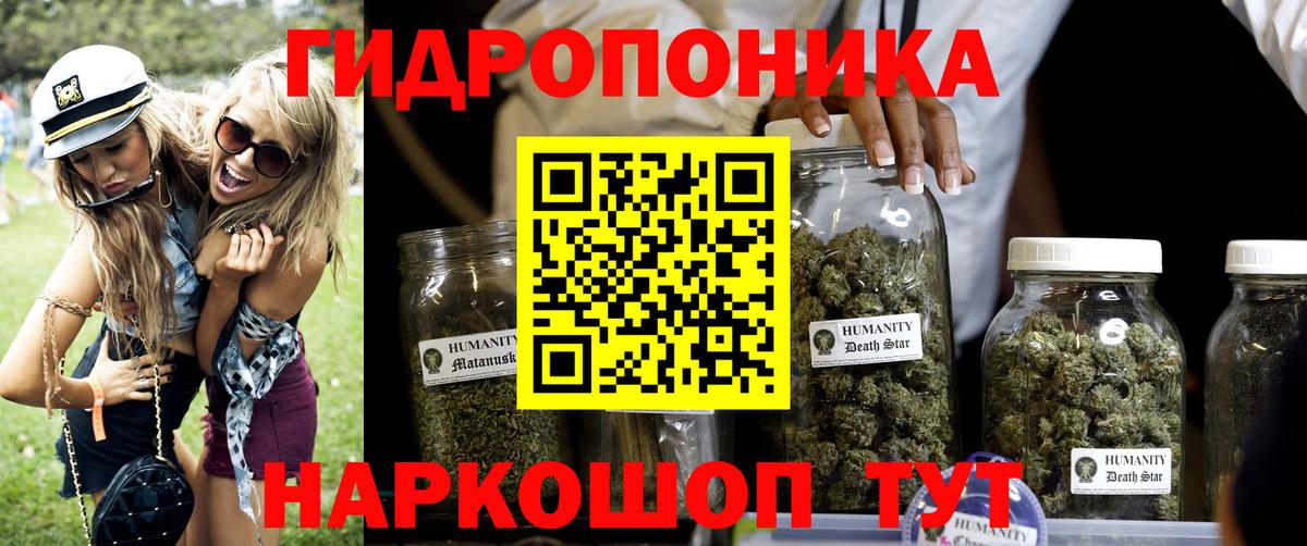 Бошки марихуана планчик  Бошки Шишки сатива  Маркс  Вход с VPN  Конопля конопля  Бошки марихуана AK-47 
